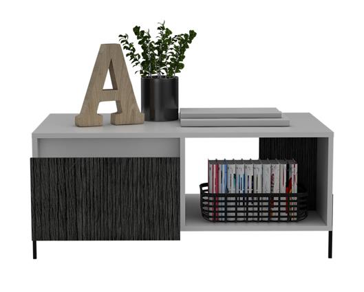 Dexter Coffee Table with 2 Doors