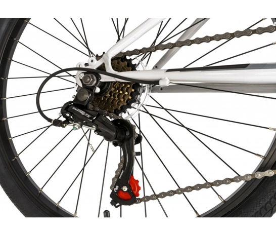 Falcon Cyclone 24"