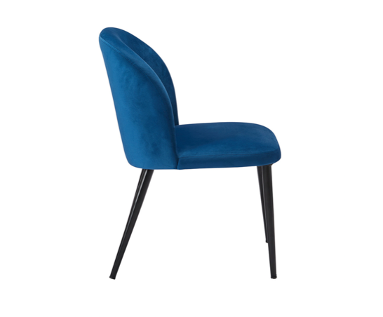 Zen Dining Chair (Pair)- Blue