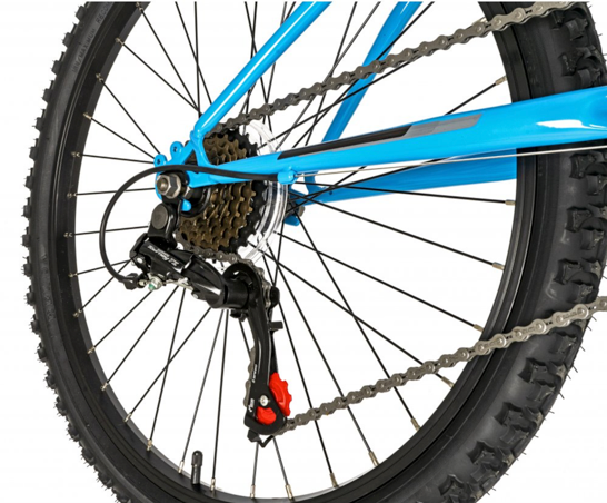 Falcon Venus 24"