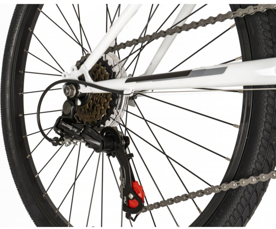 Falcon Aurora 24"