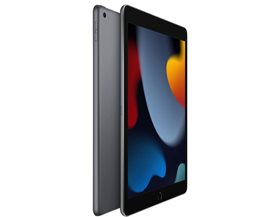 Apple iPad 10.2" 256GB Wi-Fi Space Grey