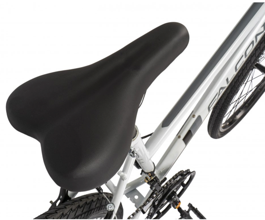 Falcon Aurora 24"