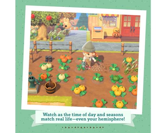 Nintendo Switch Lite Turquoise Timmy & Tommy Edition with Animal Crossing: New Horizons