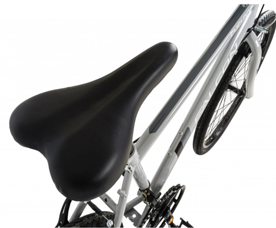 Falcon Cyclone 24"