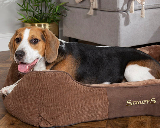 Chester Box Bed Chocolate - Medium