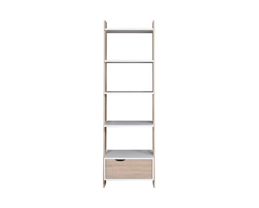 Pexton Ladder Bookcase with Drawer