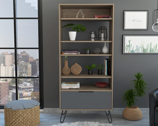 Viva Display Bookcase with Door