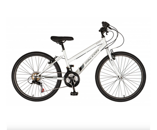 Falcon Aurora 24"