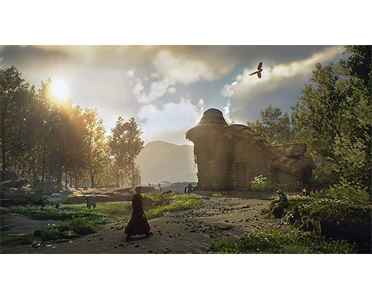PS5 Hogwarts Legacy