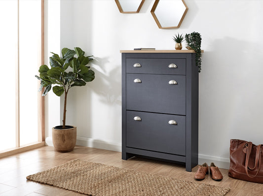 Lachlan 2 Door 1 Drawer Shoe Cabinet-Blue