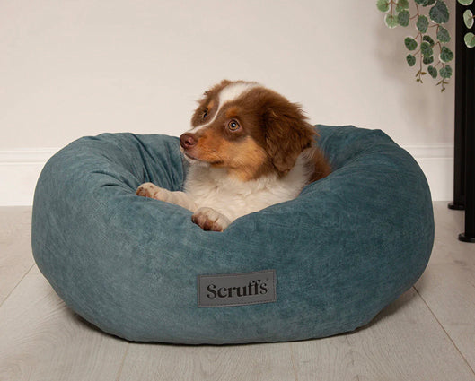 Oslo Ring Bed De Lake Teal - Medium