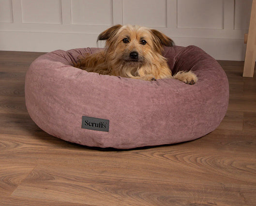 Oslo Ring Bed Blush Pink - Large