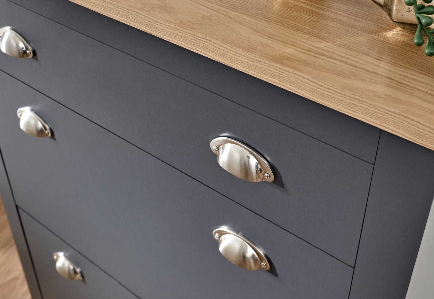 Lachlan 2 Door 1 Drawer Shoe Cabinet-Blue